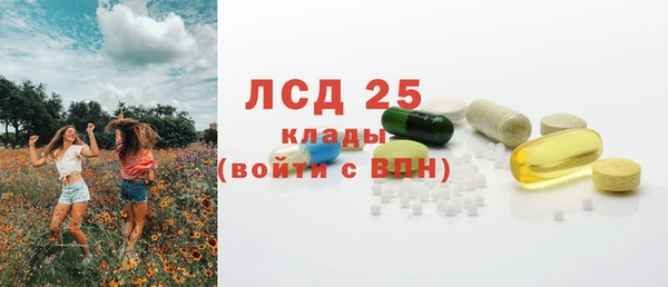 PSILOCYBIN Козельск