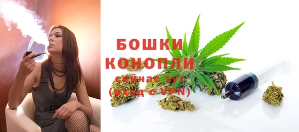 PSILOCYBIN Козельск
