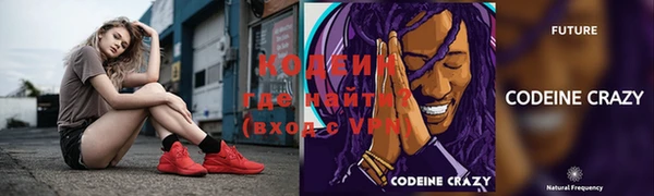 крисы Кодинск