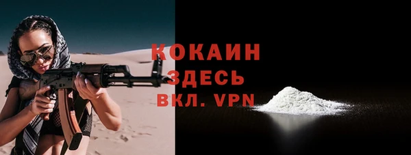 крисы Кодинск