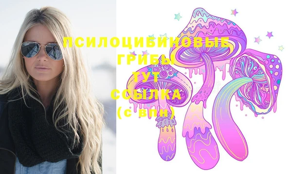 PSILOCYBIN Козельск