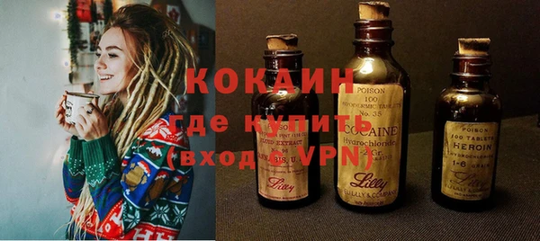 прущие грибы Кинешма