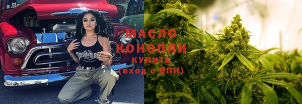 крисы Кодинск