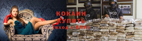 крисы Кодинск