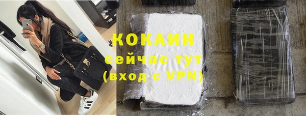 крисы Кодинск