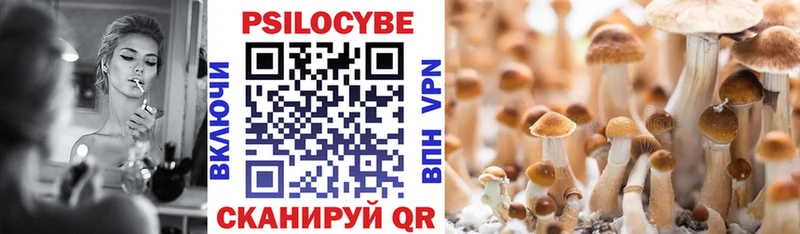 Псилоцибиновые грибы Psilocybine cubensis  как найти наркотики  Талдом 